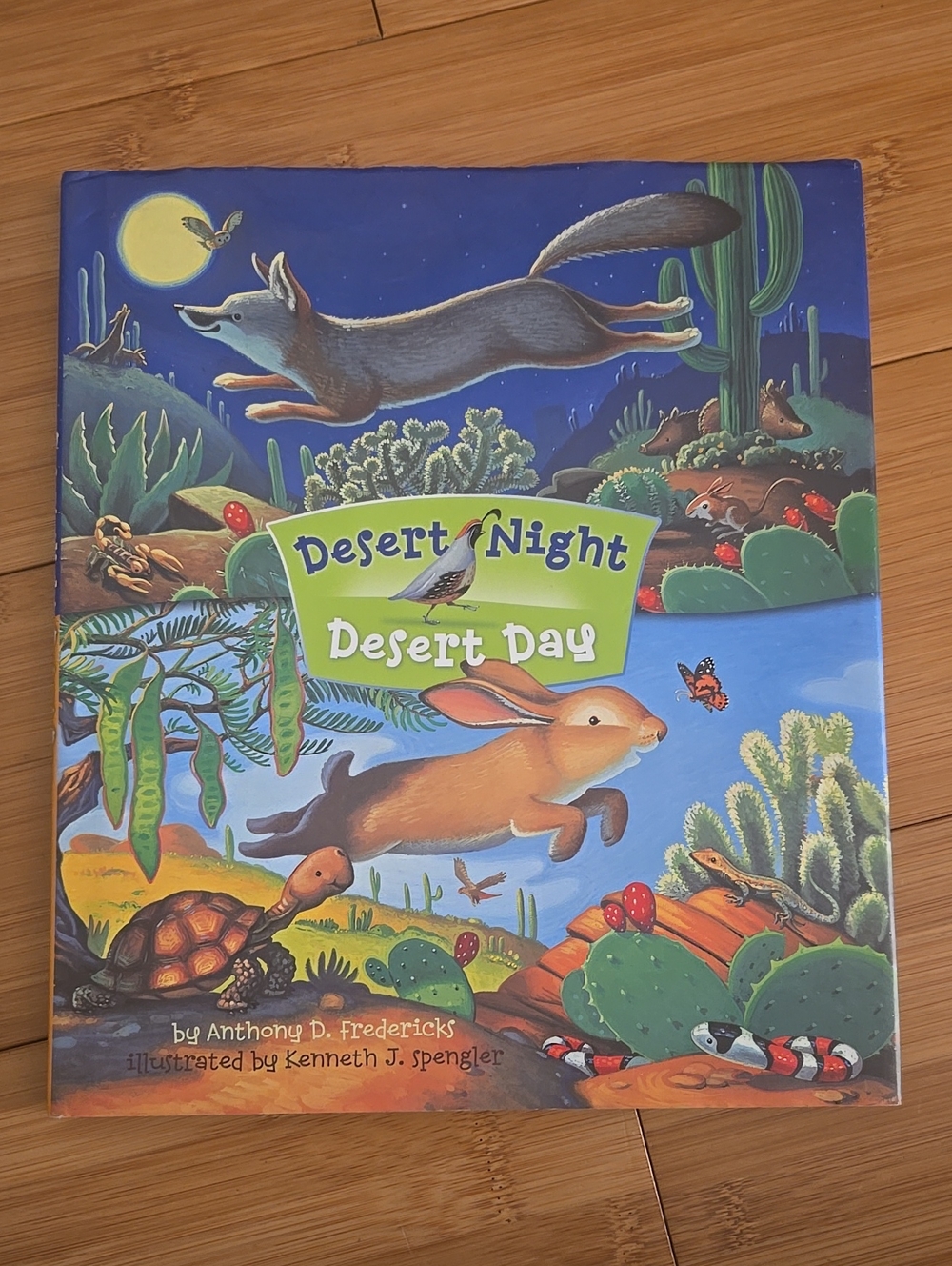 Desert Night Desert Day Children's Book